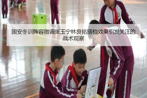 国安冬训阵容微调张玉宁林良铭搭档效果引发关注的战术观察