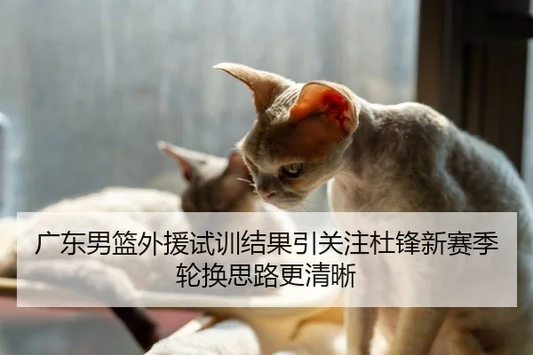 广东男篮外援试训结果引关注杜锋新赛季轮换思路更清晰